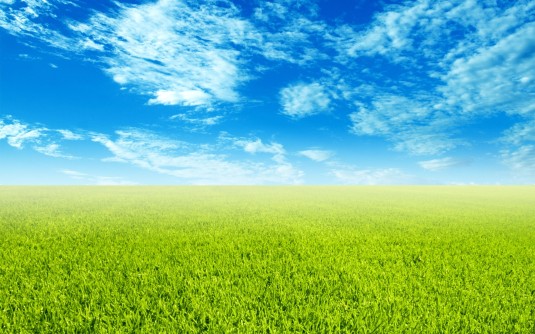 sky-grass-wallpaper-scenery-green-206789